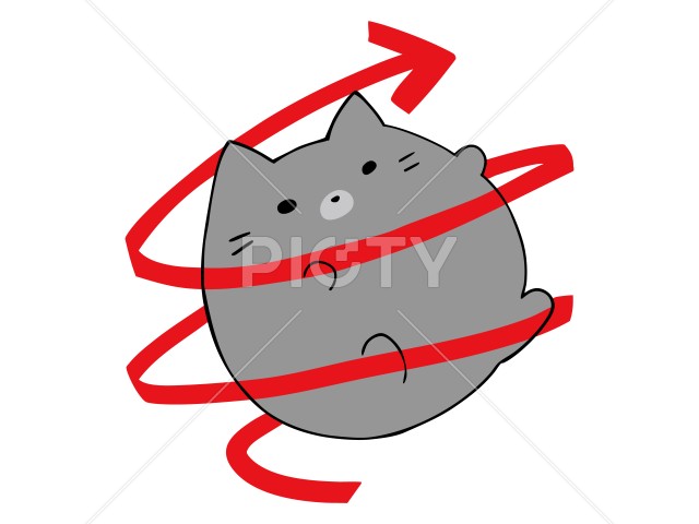 写真のタイトルが入ります