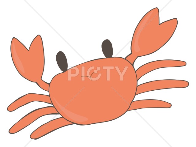 写真のタイトルが入ります