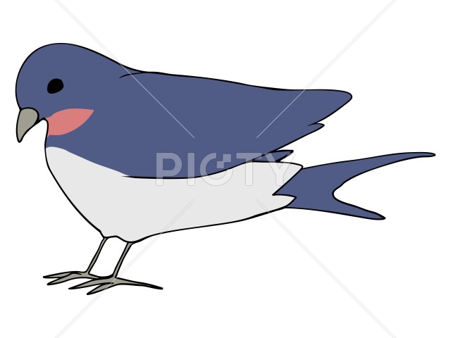 写真のタイトルが入ります