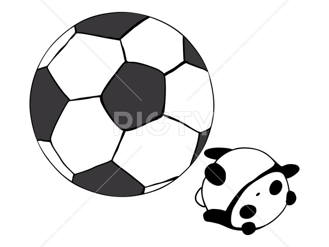 写真のタイトルが入ります