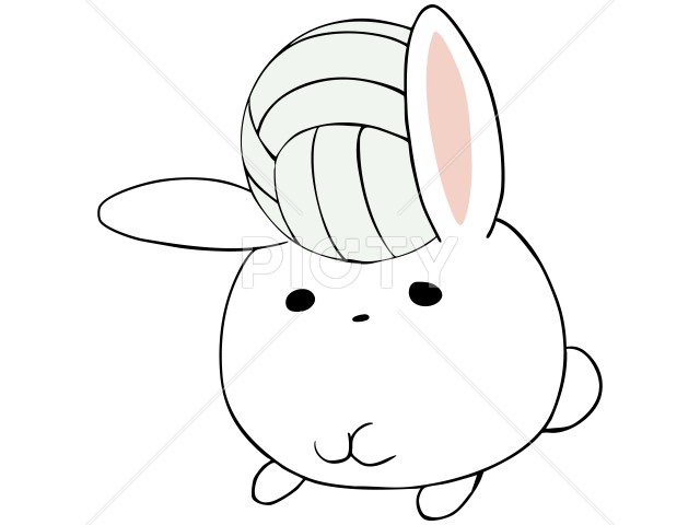 写真のタイトルが入ります