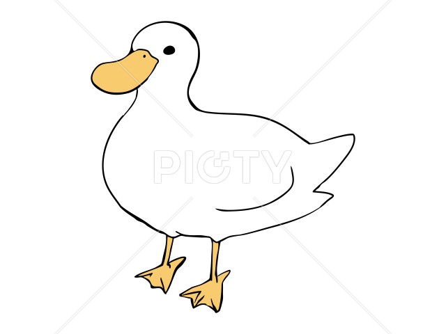 写真のタイトルが入ります