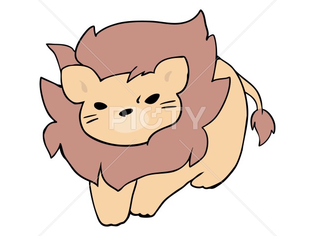 写真のタイトルが入ります