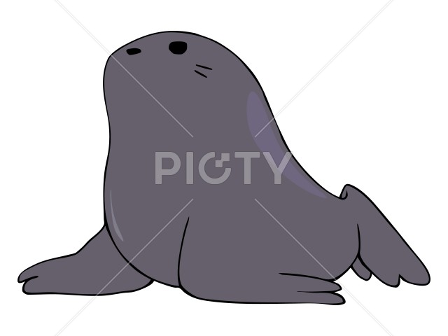 写真のタイトルが入ります