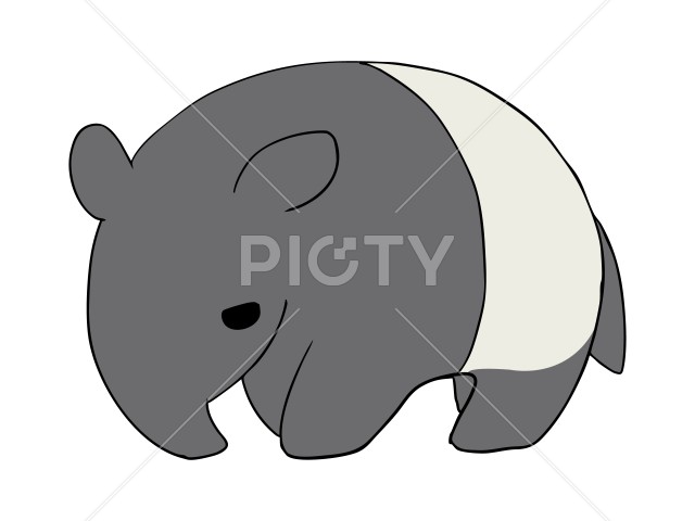 写真のタイトルが入ります