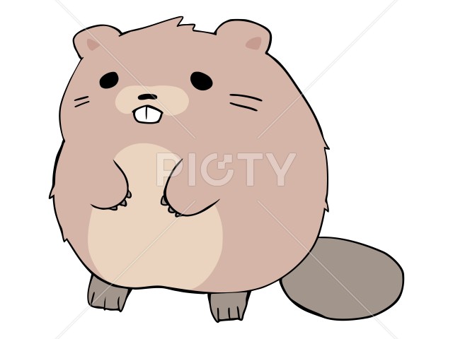 写真のタイトルが入ります