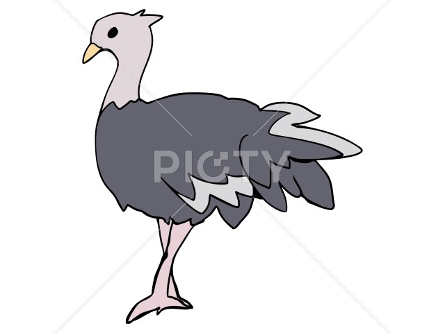 写真のタイトルが入ります