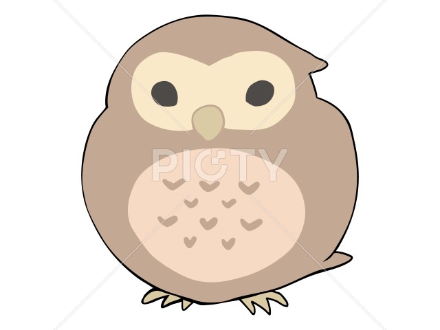 写真のタイトルが入ります