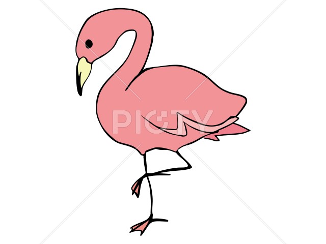 写真のタイトルが入ります