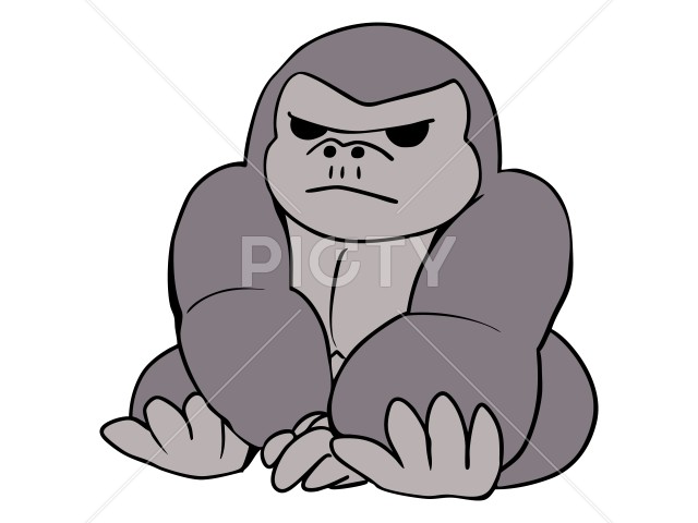 写真のタイトルが入ります