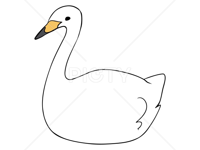 写真のタイトルが入ります