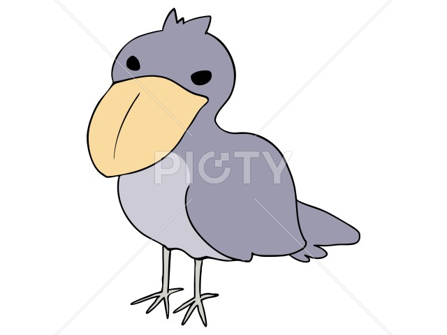 写真のタイトルが入ります