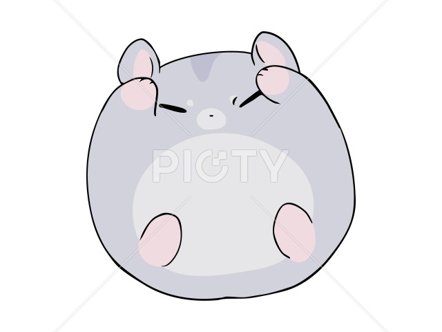 写真のタイトルが入ります