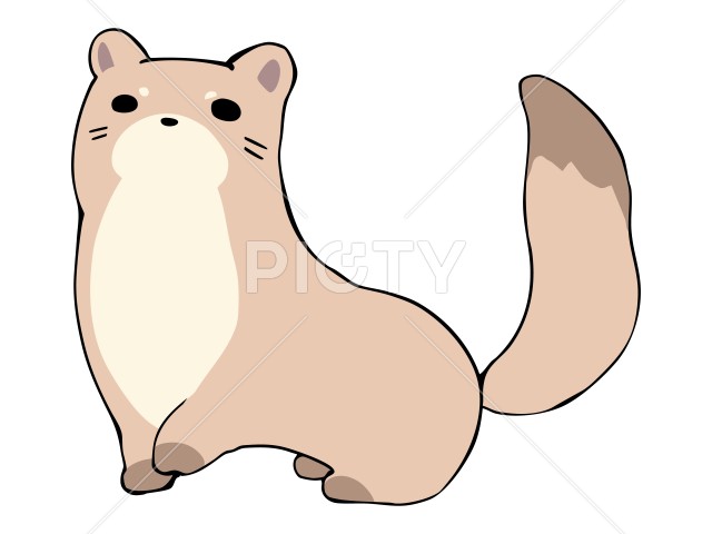 写真のタイトルが入ります