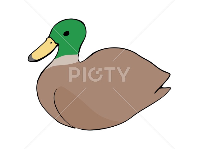 写真のタイトルが入ります