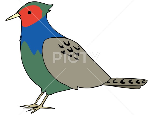 写真のタイトルが入ります