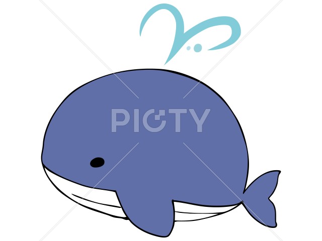 写真のタイトルが入ります