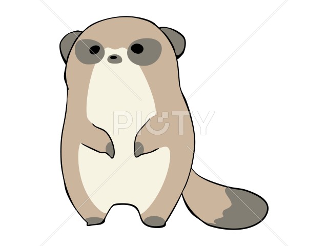 写真のタイトルが入ります