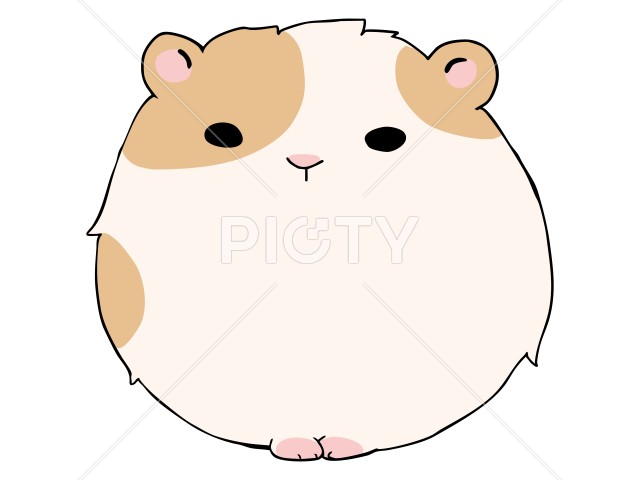 写真のタイトルが入ります