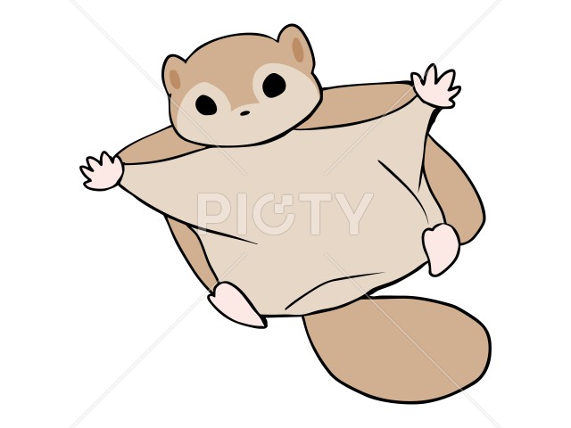 写真のタイトルが入ります