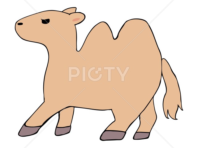 写真のタイトルが入ります