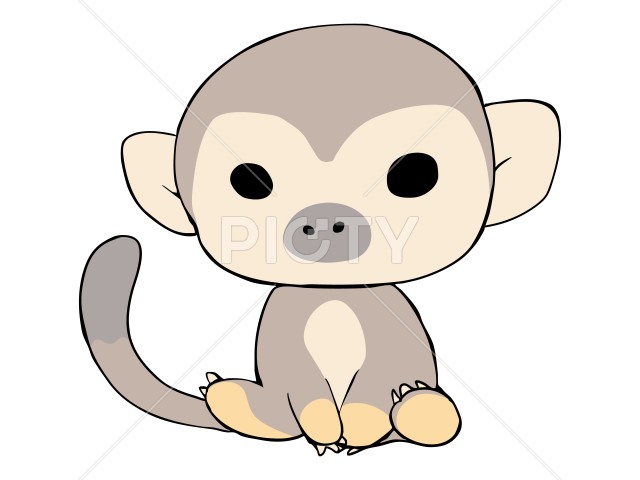 写真のタイトルが入ります