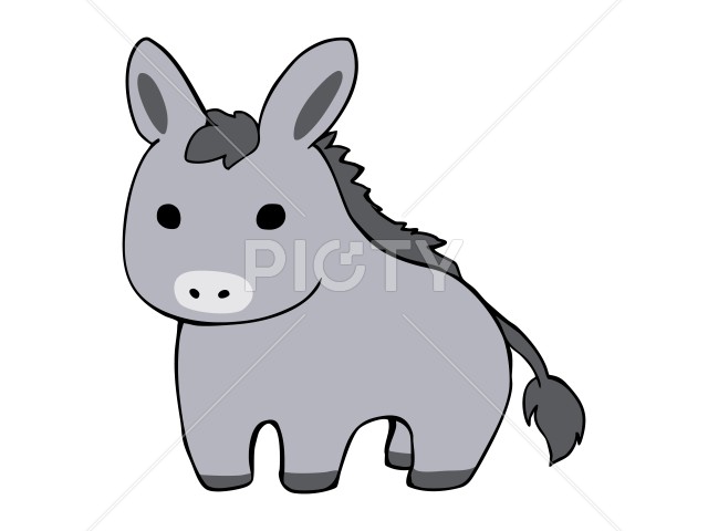 写真のタイトルが入ります