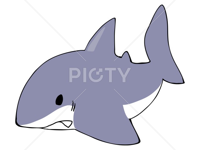 写真のタイトルが入ります