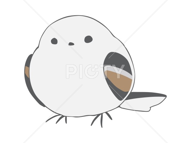 写真のタイトルが入ります