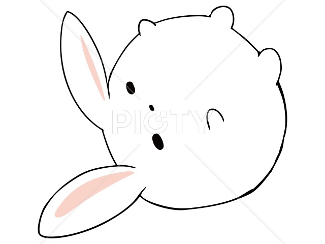 コロコロ うさぎ