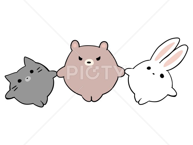 写真のタイトルが入ります