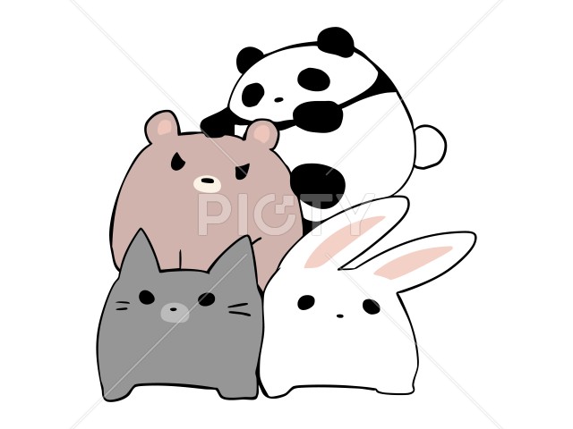 写真のタイトルが入ります