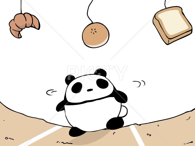 写真のタイトルが入ります