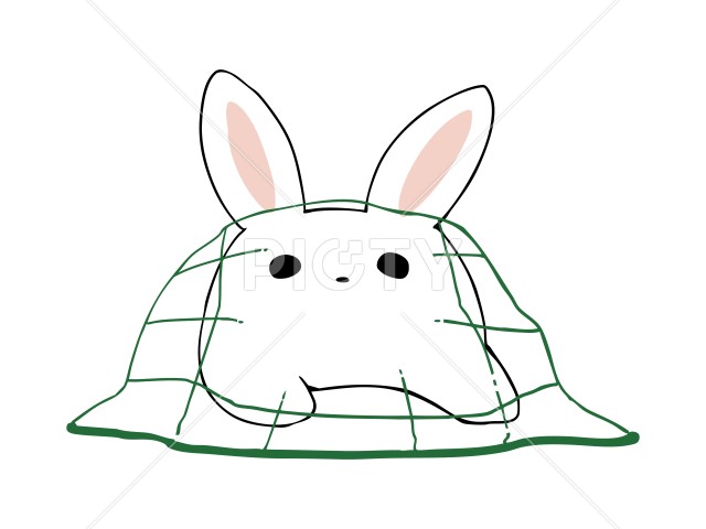 写真のタイトルが入ります