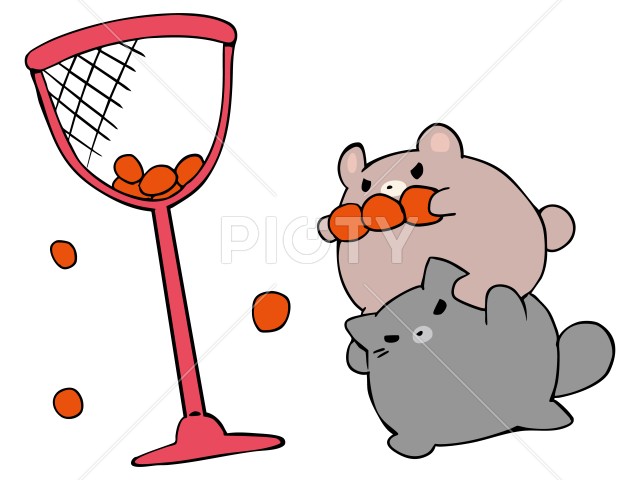 写真のタイトルが入ります