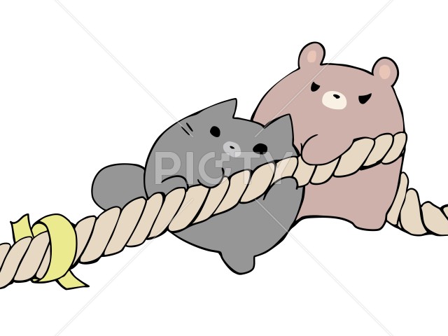 写真のタイトルが入ります