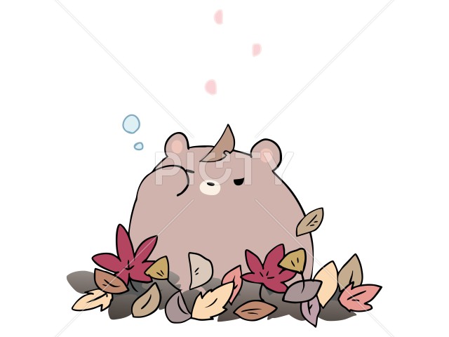 写真のタイトルが入ります