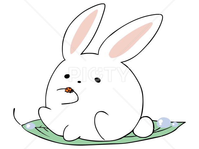 写真のタイトルが入ります