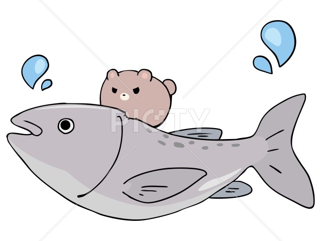 写真のタイトルが入ります