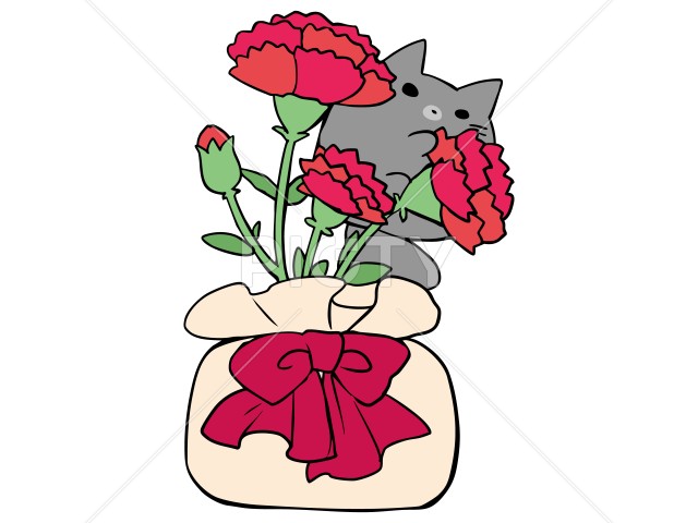 写真のタイトルが入ります