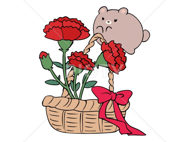 写真のタイトルが入ります