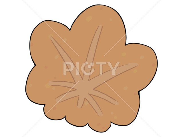 写真のタイトルが入ります