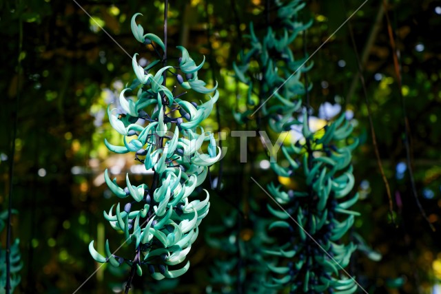 写真のタイトルが入ります