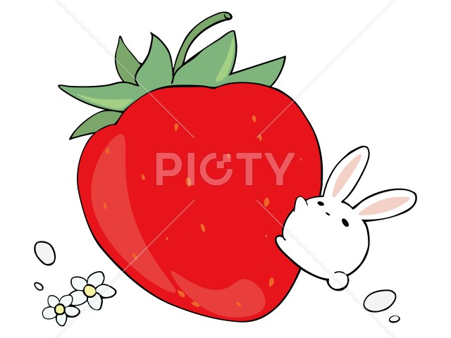 写真のタイトルが入ります