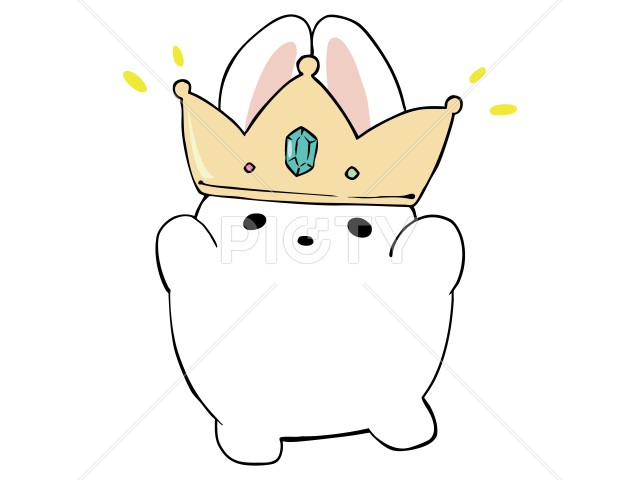 写真のタイトルが入ります