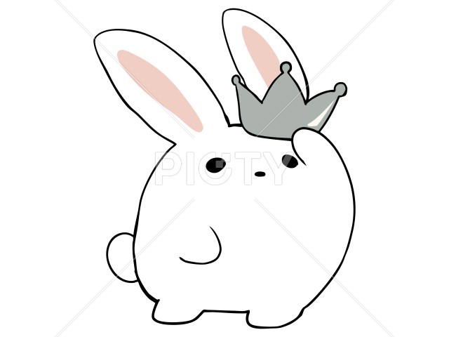 写真のタイトルが入ります