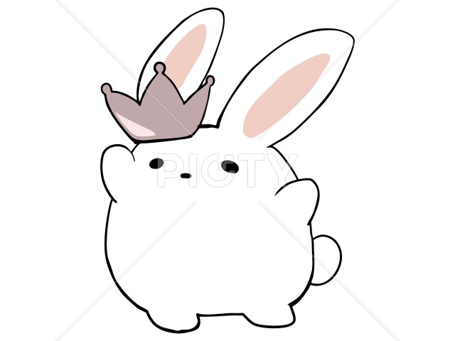 写真のタイトルが入ります