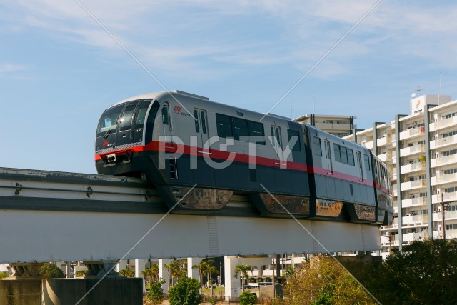 写真のタイトルが入ります