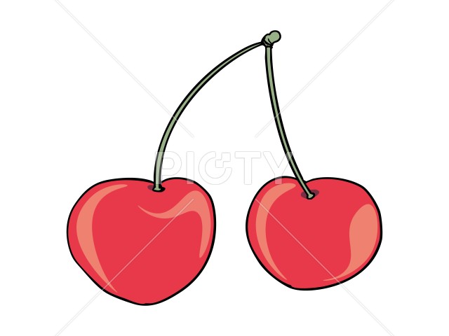 写真のタイトルが入ります