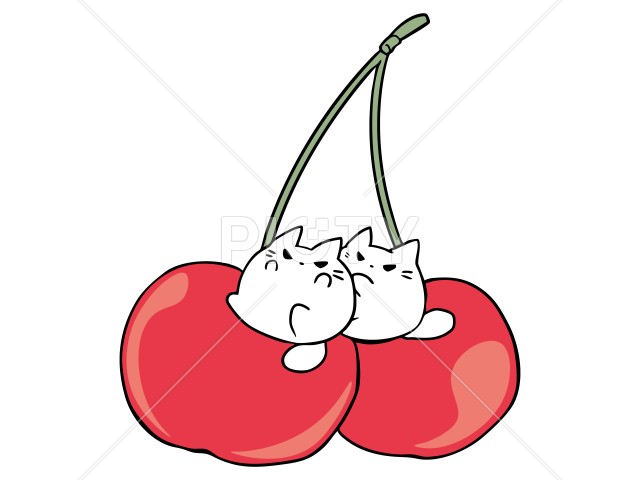 写真のタイトルが入ります